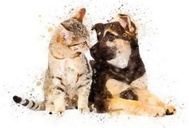 Pet friendly holiday cottages at Hawthorn Farm Kent