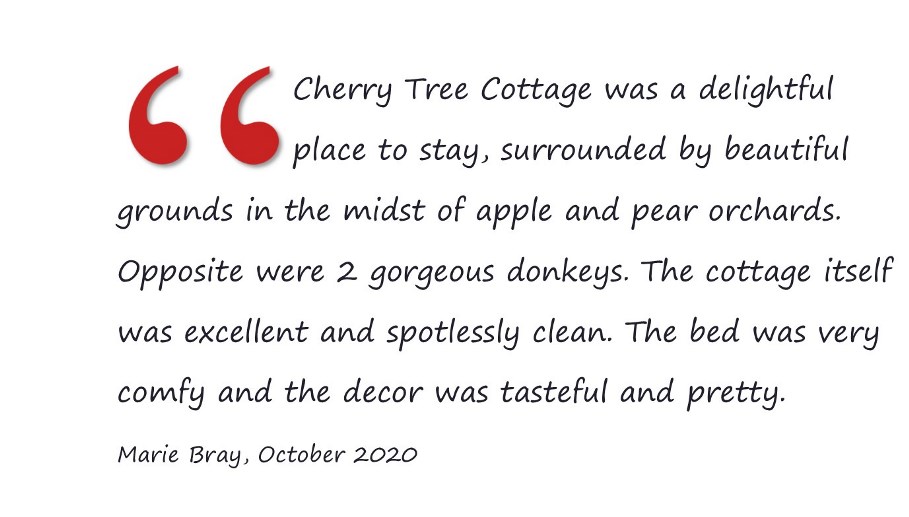 Cherry Tree Cottage was a delightful place to stay, surrounded by beautiful grounds in the midst of apple and pear orchards. Opposite were 2 gorgeous donkeys. The cottage itself was excellent and spotlessly clean. The bed was very comfy and the decor was tasteful and pretty. Marie Bray, October 2020