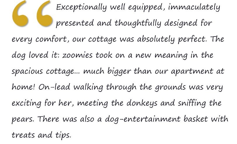 Exceptionally well equipped pet friendly holiday cottage