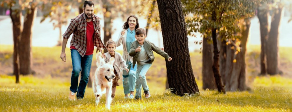 Family Friendly Holiday Cottages Kent