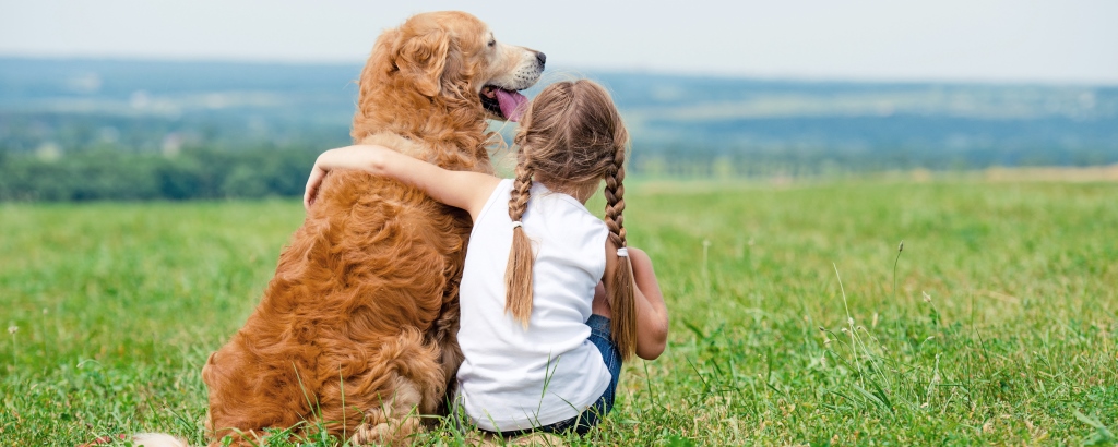 Your pets will enjoy themselves too!